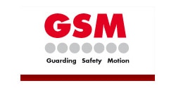 GSM